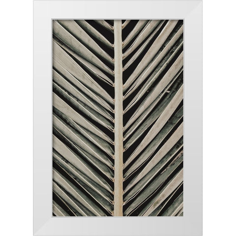 Studio III - Palmblad 005  White Modern Wood Framed Art Print by Studio III