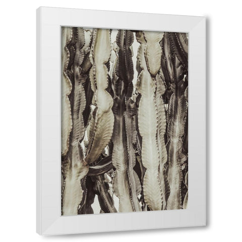 Studio III - Cactus 001  White Modern Wood Framed Art Print by Studio III