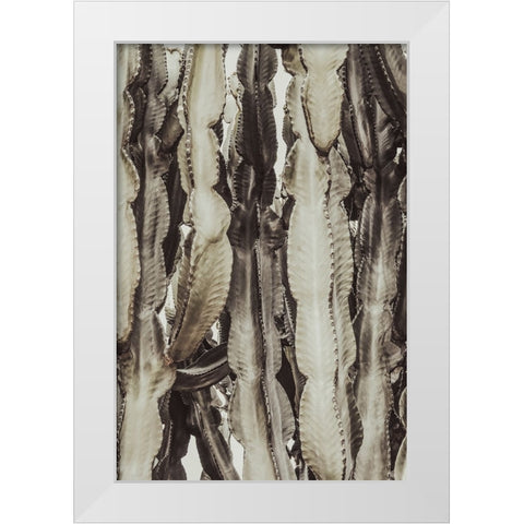Studio III - Cactus 001  White Modern Wood Framed Art Print by Studio III
