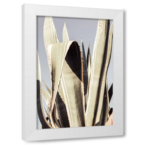 Studio III - Agave 001 White Modern Wood Framed Art Print by Studio III
