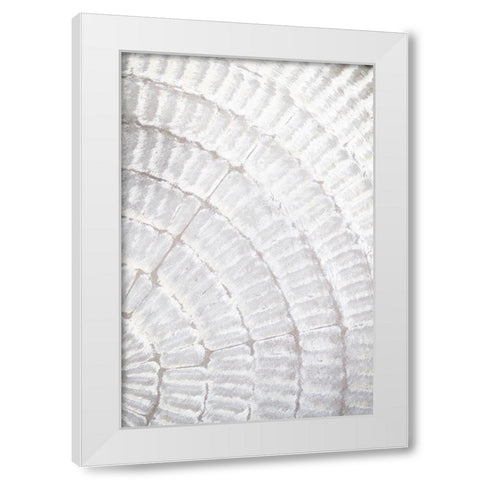 Studio III - Pattern Plate I  White Modern Wood Framed Art Print by Studio III