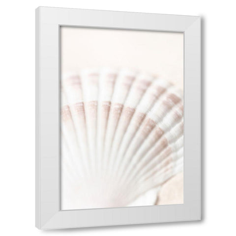Studio III - Shell  White Modern Wood Framed Art Print by Studio III