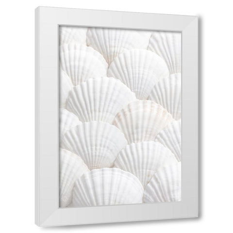 Studio III - Shells III  White Modern Wood Framed Art Print by Studio III