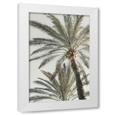 Studio III - Palm 005  White Modern Wood Framed Art Print by Studio III