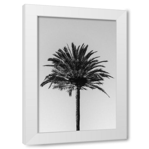 Studio III - Palm 003 White Modern Wood Framed Art Print by Studio III