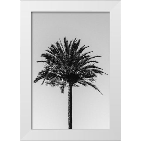 Studio III - Palm 003 White Modern Wood Framed Art Print by Studio III