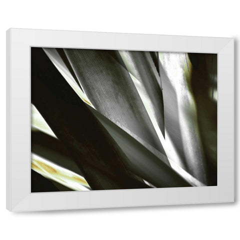 Transparent White Modern Wood Framed Art Print by PI Studio