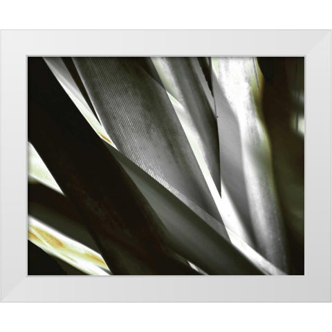 Transparent White Modern Wood Framed Art Print by PI Studio