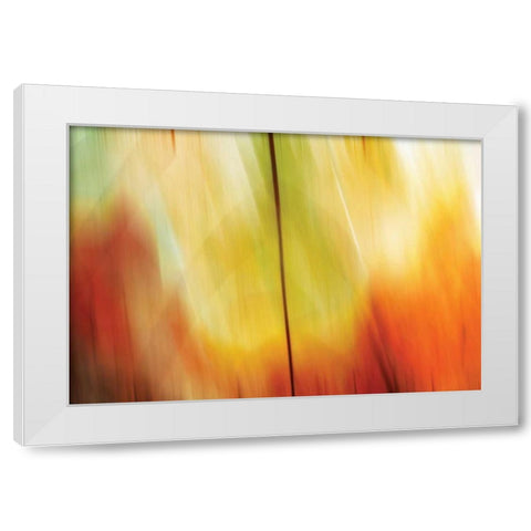 Tie Dye I White Modern Wood Framed Art Print by PI Studio