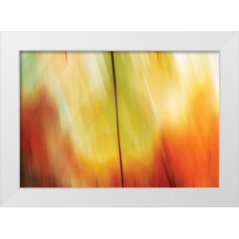 Tie Dye I White Modern Wood Framed Art Print by PI Studio