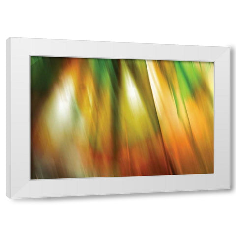 Tie Dye II White Modern Wood Framed Art Print by PI Studio