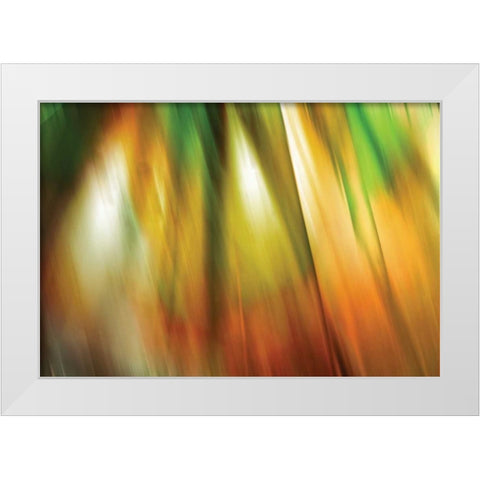 Tie Dye II White Modern Wood Framed Art Print by PI Studio