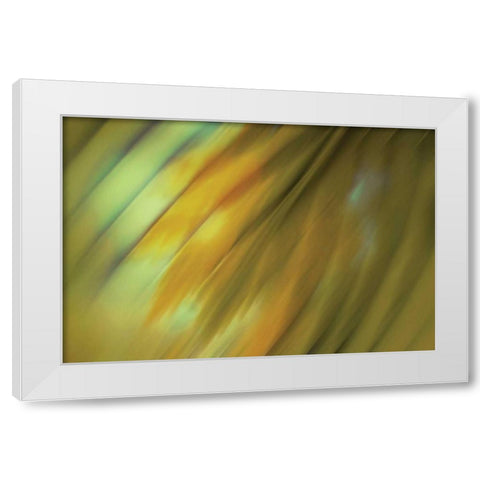 Tie Dye III White Modern Wood Framed Art Print by PI Studio