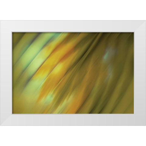 Tie Dye III White Modern Wood Framed Art Print by PI Studio