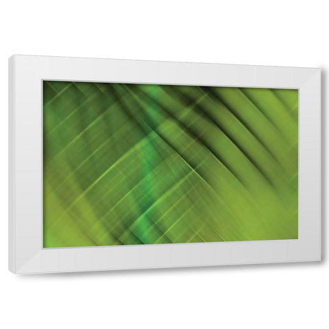 Tie Dye IV White Modern Wood Framed Art Print by PI Studio