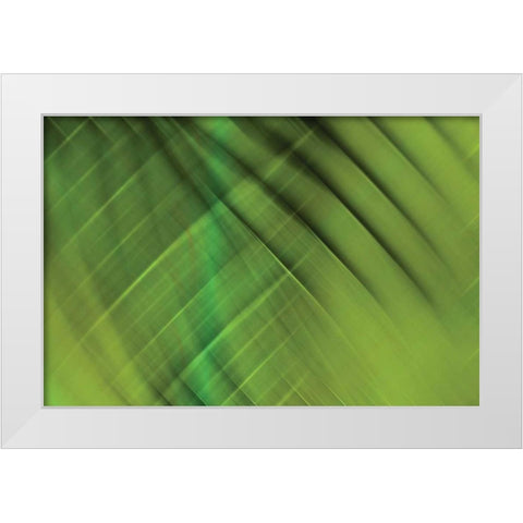 Tie Dye IV White Modern Wood Framed Art Print by PI Studio