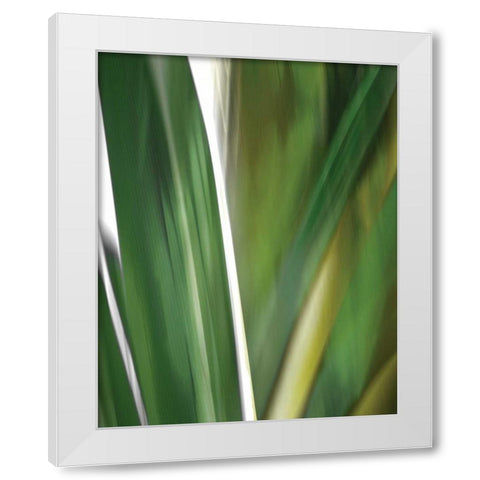 Organic IV White Modern Wood Framed Art Print by PI Studio