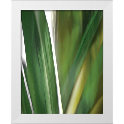 Organic IV White Modern Wood Framed Art Print by PI Studio