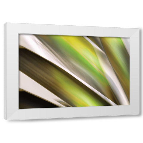 Organic VI White Modern Wood Framed Art Print by PI Studio