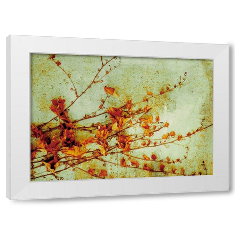 Persimmon White Modern Wood Framed Art Print by PI Studio