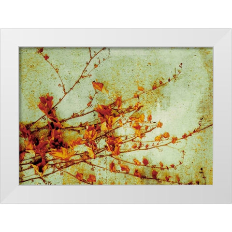 Persimmon White Modern Wood Framed Art Print by PI Studio