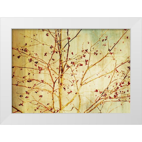 Etched White Modern Wood Framed Art Print by PI Studio