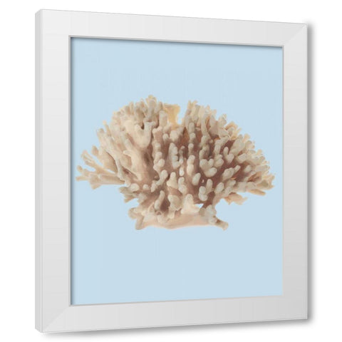 Coral I White Modern Wood Framed Art Print by PI Studio