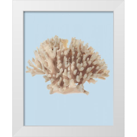 Coral I White Modern Wood Framed Art Print by PI Studio