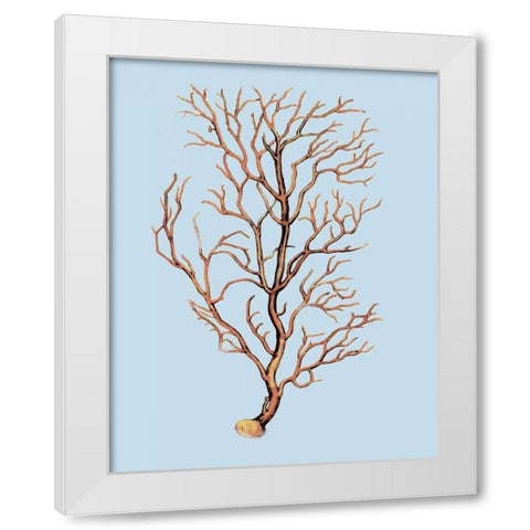 Coral IV White Modern Wood Framed Art Print by PI Studio