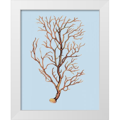 Coral IV White Modern Wood Framed Art Print by PI Studio