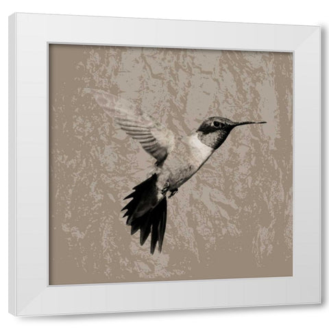 Feathered I White Modern Wood Framed Art Print by PI Studio