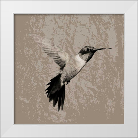 Feathered I White Modern Wood Framed Art Print by PI Studio