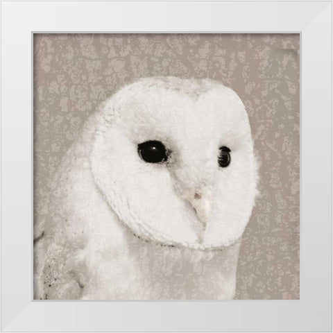 Feathered II White Modern Wood Framed Art Print by PI Studio