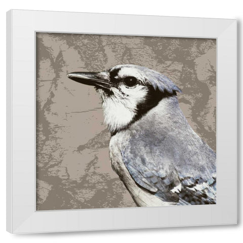 Feathered III White Modern Wood Framed Art Print by PI Studio