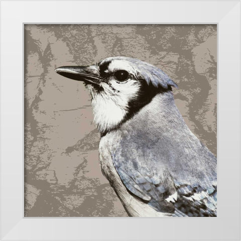 Feathered III White Modern Wood Framed Art Print by PI Studio