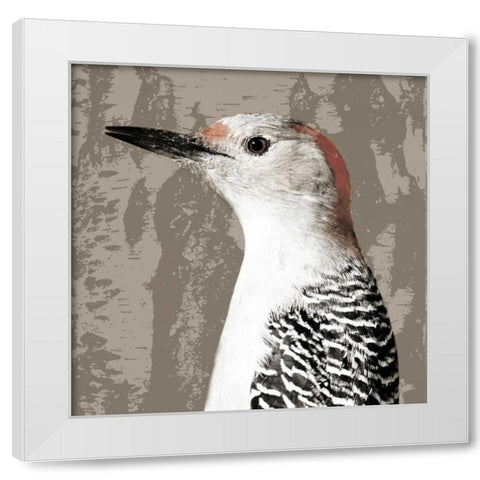 Feathered IV White Modern Wood Framed Art Print by PI Studio