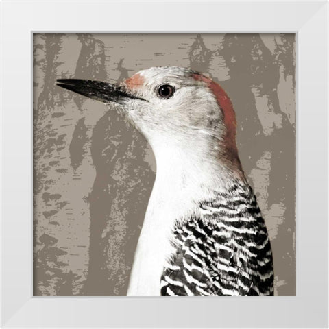 Feathered IV White Modern Wood Framed Art Print by PI Studio