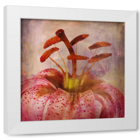 LOVELY LILY I White Modern Wood Framed Art Print by PI Studio