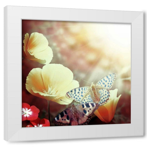 Sunbeam White Modern Wood Framed Art Print by PI Studio