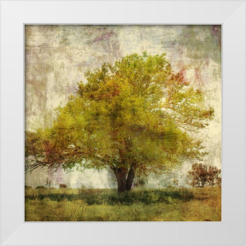 Vintage Tree White Modern Wood Framed Art Print by PI Studio