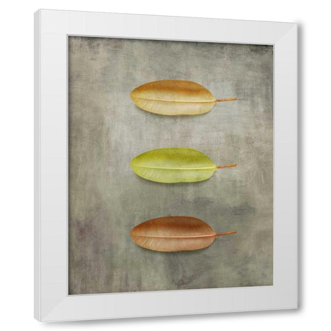 STUDY II White Modern Wood Framed Art Print by PI Studio