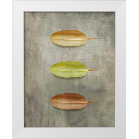 STUDY II White Modern Wood Framed Art Print by PI Studio