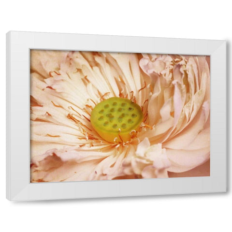 Peaches and Cream White Modern Wood Framed Art Print by PI Studio