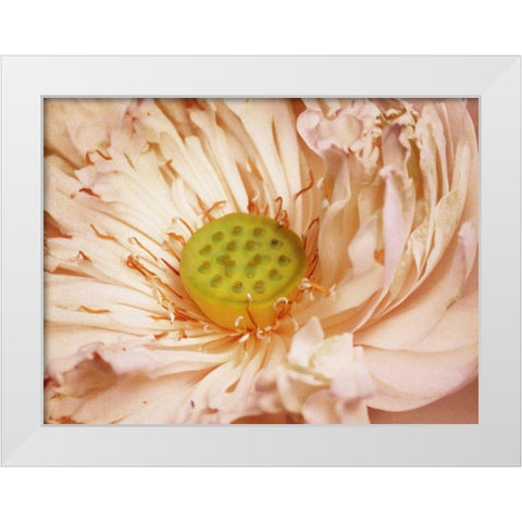 Peaches and Cream White Modern Wood Framed Art Print by PI Studio