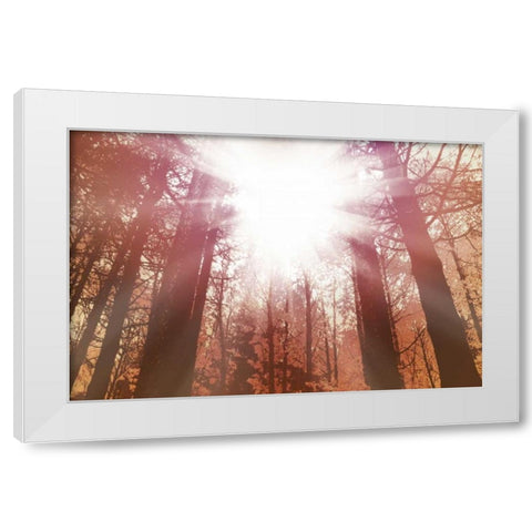 Sun Dance White Modern Wood Framed Art Print by PI Studio