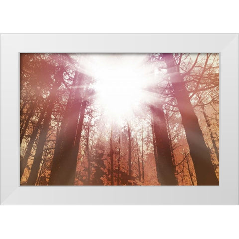 Sun Dance White Modern Wood Framed Art Print by PI Studio