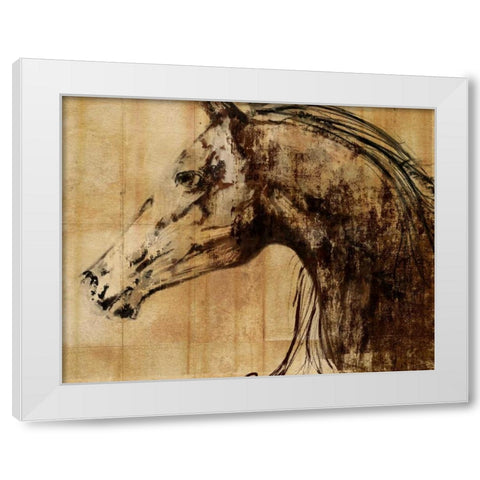 Stallion I - Print on Demand White Modern Wood Framed Art Print by PI Studio