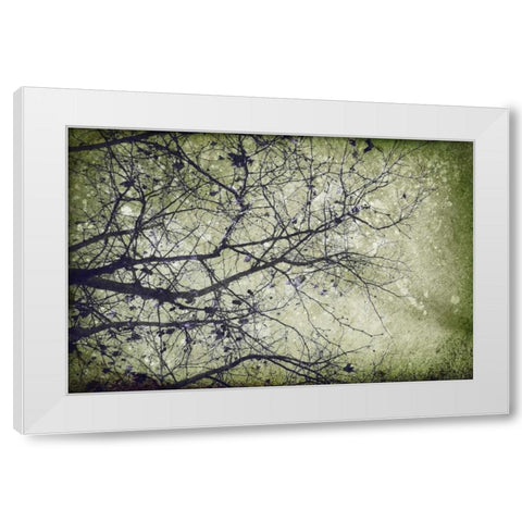 Atmospheric II White Modern Wood Framed Art Print by PI Studio