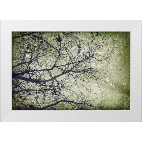 Atmospheric II White Modern Wood Framed Art Print by PI Studio