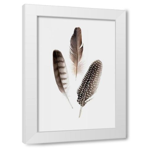 Feathers I White Modern Wood Framed Art Print by PI Studio